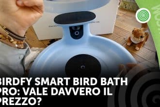 Birdfy smart bird bath pro alla prova: vale davvero il prezzo?
