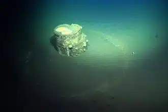Rifiuti