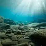 Miniere negli abissi del pacifico: chi può autorizzarle davvero? %miniere negli abissi del pacifico: chi può autorizzarle davvero? Count(title)% Miniere negli abissi del pacifico: chi può autorizzarle davvero?