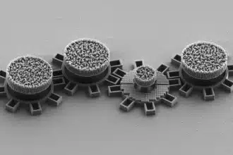 Micromotori