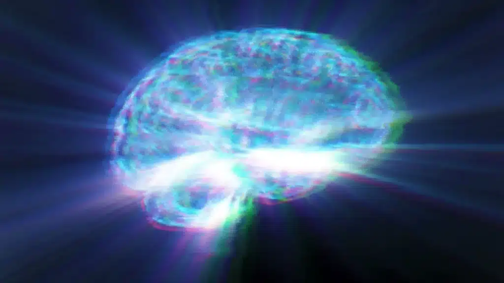 Dolcificanti artificiali: possibile legame con declino cognitivo, lo studio su oltre 12mila adulti %dolcificanti artificiali: possibile legame con declino cognitivo, lo studio su oltre 12mila adulticount(title)% Dolcificanti artificiali: possibile legame con declino cognitivo, lo studio su oltre 12mila adulti