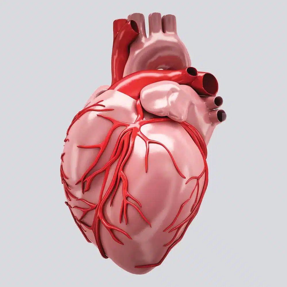 Ischemia e cancro: un legame più stretto di quanto pensassimo