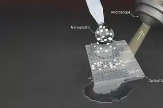 Nanoplastiche