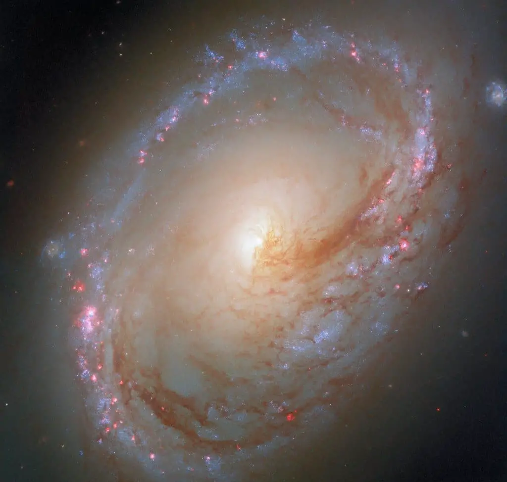 Hubble cattura l’aspetto “sbilenco” di messier 96, la galassia in lotta col suo gruppo %hubble cattura l’aspetto “sbilenco” di messier 96, la galassia in lotta col suo gruppocount(title)% Hubble cattura l’aspetto “sbilenco” di messier 96, la galassia in lotta col suo gruppo