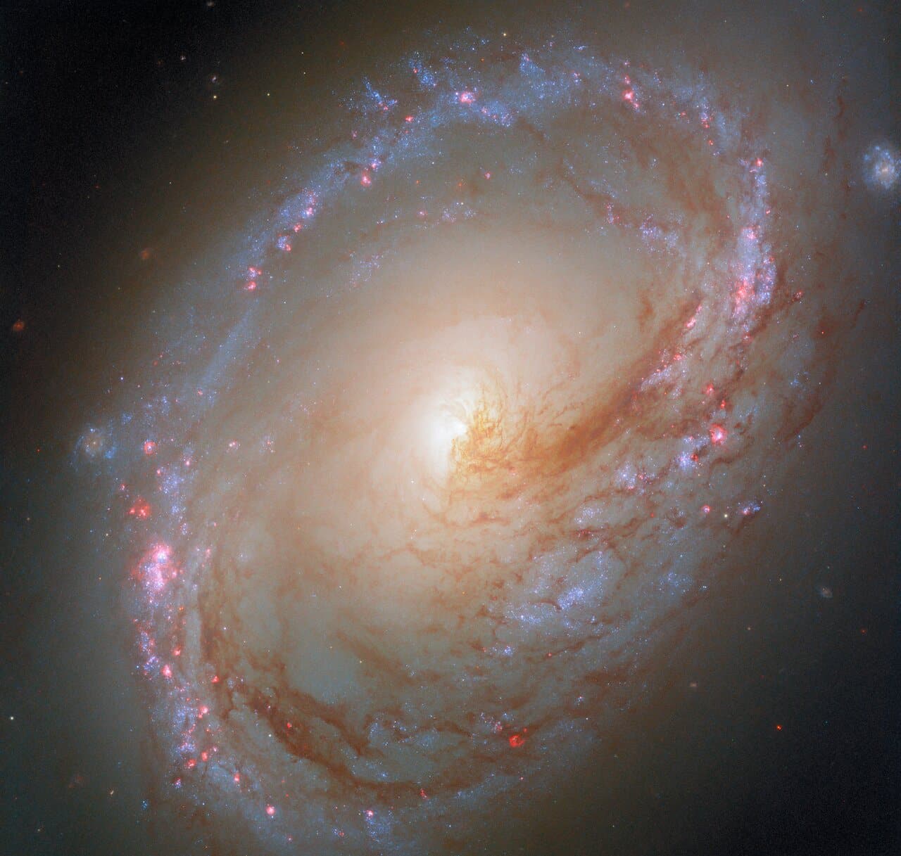 La durata della vita è scritta nei geni? Un nuovo studio raddoppia il peso dell’ereditarietà %la durata della vita è scritta nei geni? Un nuovo studio raddoppia il peso dell’ereditarietàcount(title)% Polvere stellare
