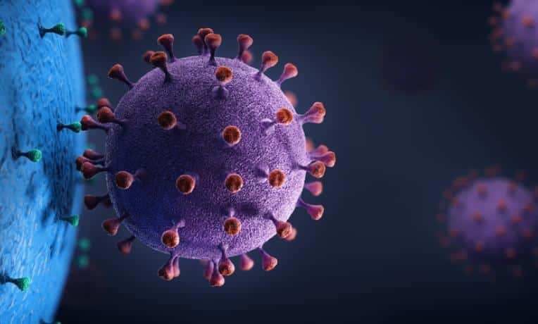 Il lato virale nascosto nel nostro dna: scoperta la prima struttura 3d di una proteina herv %il lato virale nascosto nel nostro dna: scoperta la prima struttura 3d di una proteina hervcount(title)% Il lato virale nascosto nel nostro dna: scoperta la prima struttura 3d di una proteina herv