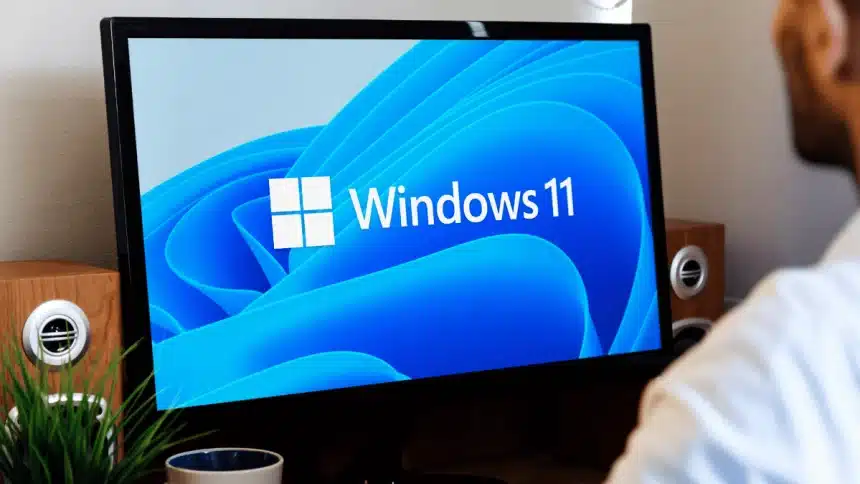 Windows 11
