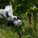 Nei vigneti arriva frasky, il robot che rivoluziona l’agricoltura di precisione %nei vigneti arriva frasky, il robot che rivoluziona l’agricoltura di precisionecount(title)% Nei vigneti arriva frasky, il robot che rivoluziona l’agricoltura di precisione