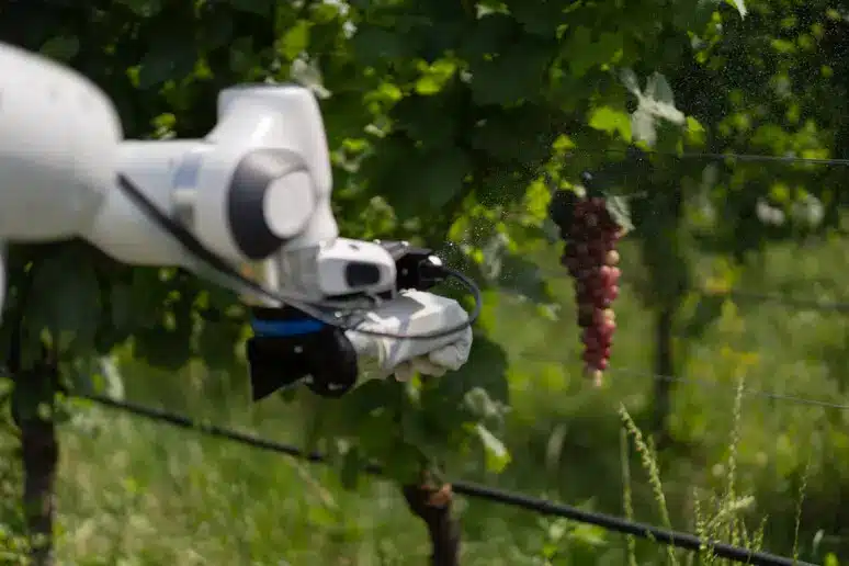 Nei vigneti arriva frasky, il robot che rivoluziona l’agricoltura di precisione %nei vigneti arriva frasky, il robot che rivoluziona l’agricoltura di precisionecount(title)% Frasky