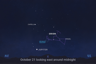 Orion