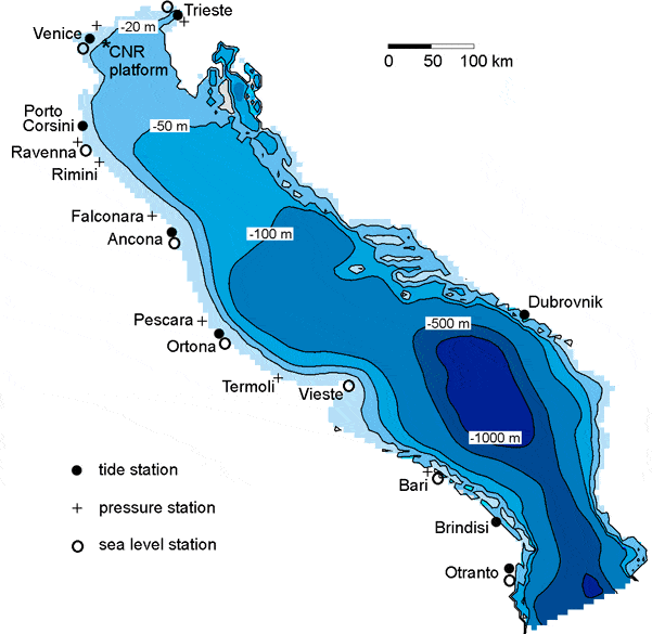Lo studio rivela un crollo dell’89% delle praterie vicino a trieste