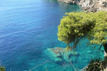 Perché l’adriatico sta perdendo le sue praterie marine e quali sono le conseguenze per l’ambiente (2)