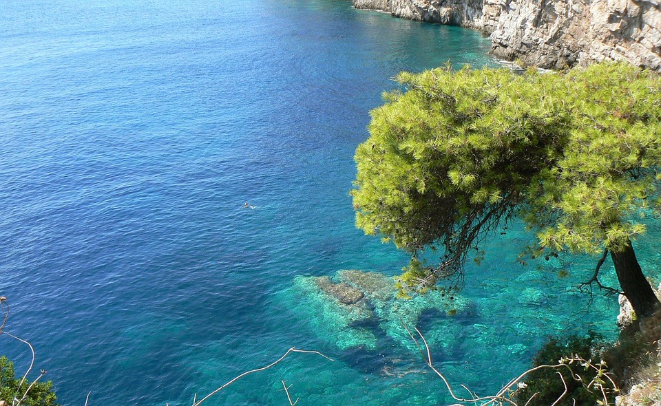 Mar baltico: ossigeno basso e pesca creano hotspot di rischio %mar baltico: ossigeno basso e pesca creano hotspot di rischiocount(title)% Ecosistema marino e habitat costieri