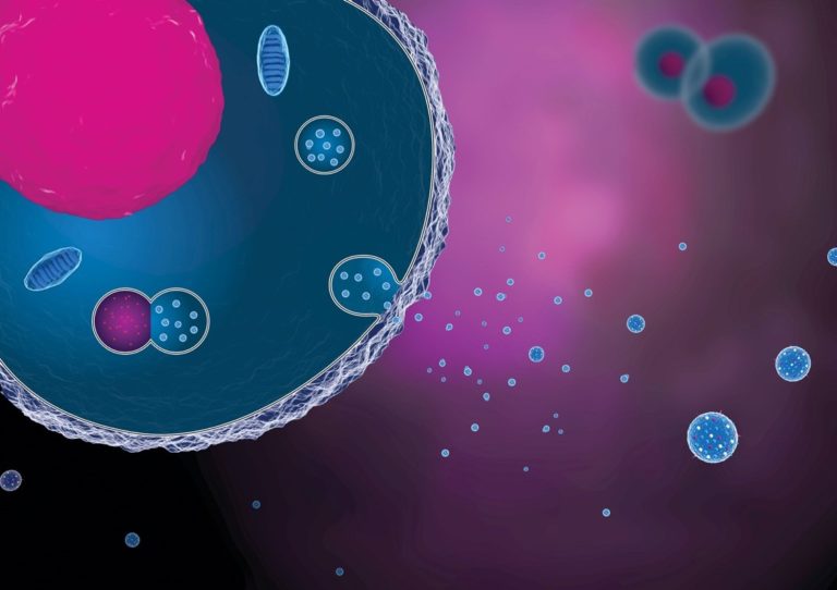 Mit: le cellule non “resettano” il dna durante la divisione %mit: le cellule non “resettano” il dna durante la divisionecount(title)% Mit: le cellule non “resettano” il dna durante la divisione