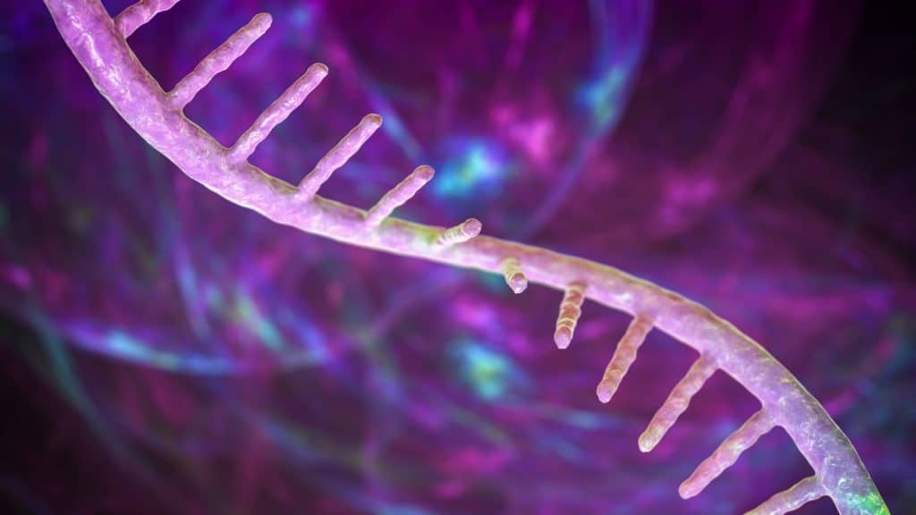 Da “dna spazzatura” a nuova speranza contro i tumori del sangue %da “dna spazzatura” a nuova speranza contro i tumori del sanguecount(title)% Da “dna spazzatura” a nuova speranza contro i tumori del sangue