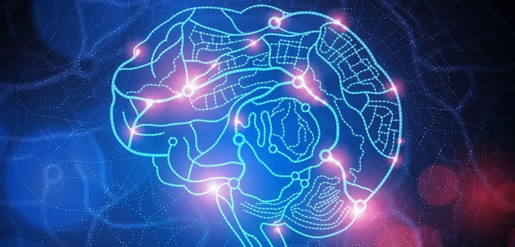 Stanford scopre il segreto della “bussola” del cervello: l’invecchiamento non spegne la memoria spaziale %stanford scopre il segreto della “bussola” del cervello: l’invecchiamento non spegne la memoria spazialecount(title)% Stanford scopre il segreto della “bussola” del cervello: l’invecchiamento non spegne la memoria spaziale