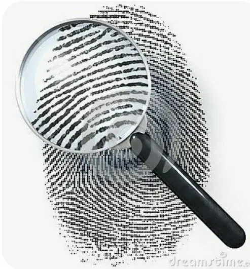 Impronte digitali sui bossoli esplosi: la scoperta irlandese che può cambiare la scienza forense %impronte digitali sui bossoli esplosi: la scoperta irlandese che può cambiare la scienza forensecount(title)% Bossoli