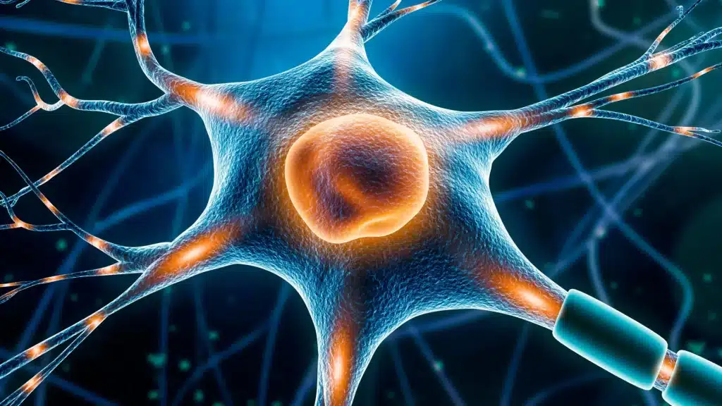 Scoperta italiana: un interruttore cellulare potrebbe fermare il parkinson (e non solo)
