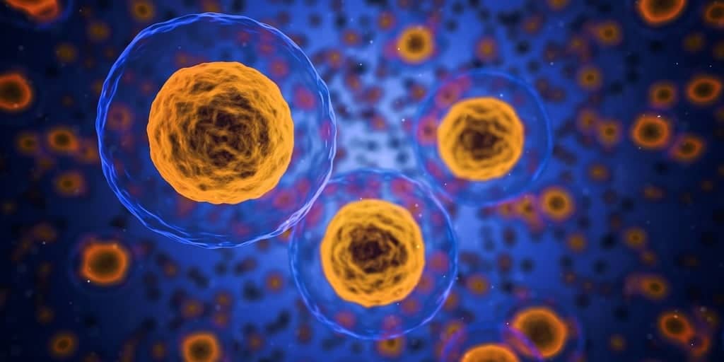 Mit e harvard: scoperta una nuova arma contro il cancro con le car-nk, cellule killer che non vengono rigettate dal sistema immunitario %mit e harvard: scoperta una nuova arma contro il cancro con le car-nk, cellule killer che non vengono rigettate dal sistema immunitariocount(title)% Mit e harvard: scoperta una nuova arma contro il cancro con le car-nk, cellule killer che non vengono rigettate dal sistema immunitario