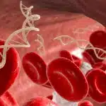 Un gene del lievitoe del dna può riattivare cellule umane malate? La ricerca che cambia prospettiva sulle malattie mitocondriali