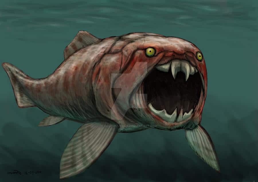 Un mini fossile canadese riscrive la storia dei pesci d’acqua dolce