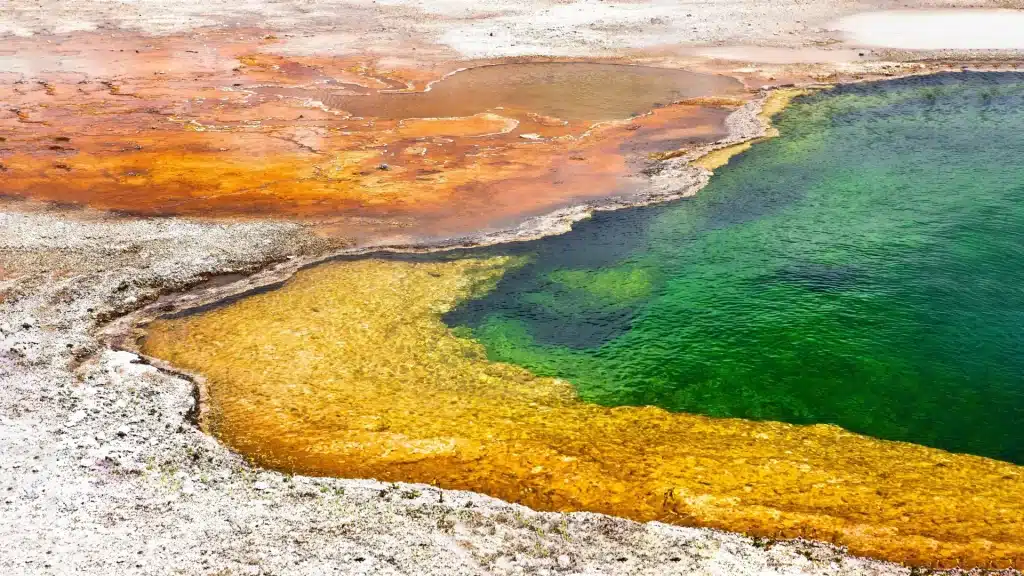 La terra prima dell'ossigeno: cosa ci raccontano le sorgenti termali giapponesi sulla vita primitiva?