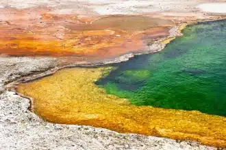 Terra
