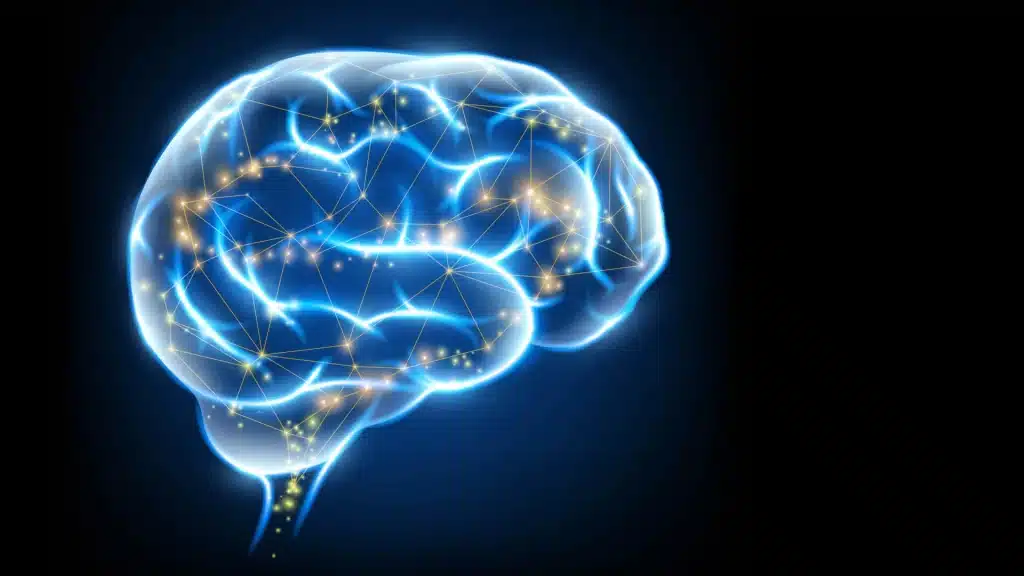 Vitamina k: il nuovo alleato contro alzheimer e parkinson? La scienza giapponese apre una strada rivoluzionaria %vitamina k: il nuovo alleato contro alzheimer e parkinson? La scienza giapponese apre una strada rivoluzionariacount(title)% Vitamina k: il nuovo alleato contro alzheimer e parkinson? La scienza giapponese apre una strada rivoluzionaria