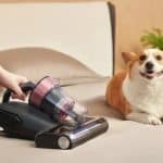 Jimmy bx8: l'aspirapolvere anti-acaro portatile %jimmy bx8: l'aspirapolvere anti-acaro portatilecount(title)% Jimmy bx8: l'aspirapolvere anti-acaro portatile