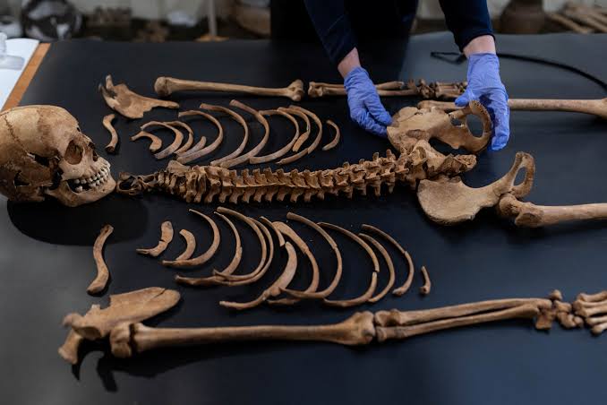 Zosia: la storia di una giovane donna sbranata dalla superstizione - foto %zosia: la storia di una giovane donna sbranata dalla superstizione - fotocount(title)% Zosia: la storia di una giovane donna sbranata dalla superstizione - foto