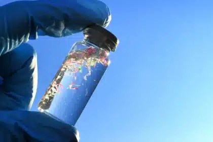 Bottiglie