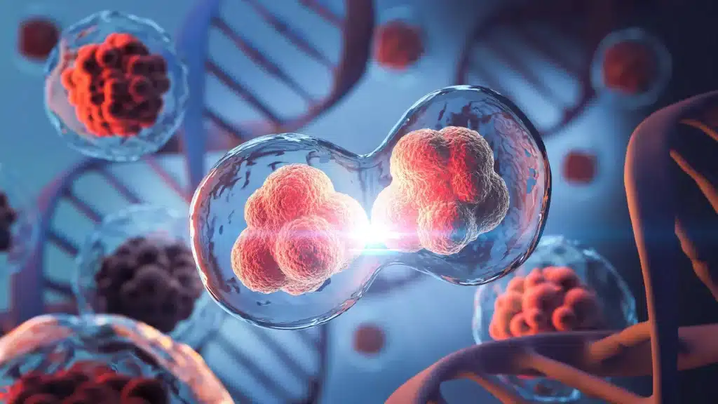 Mit: le cellule non “resettano” il dna durante la divisione %mit: le cellule non “resettano” il dna durante la divisionecount(title)% Mit: le cellule non “resettano” il dna durante la divisione