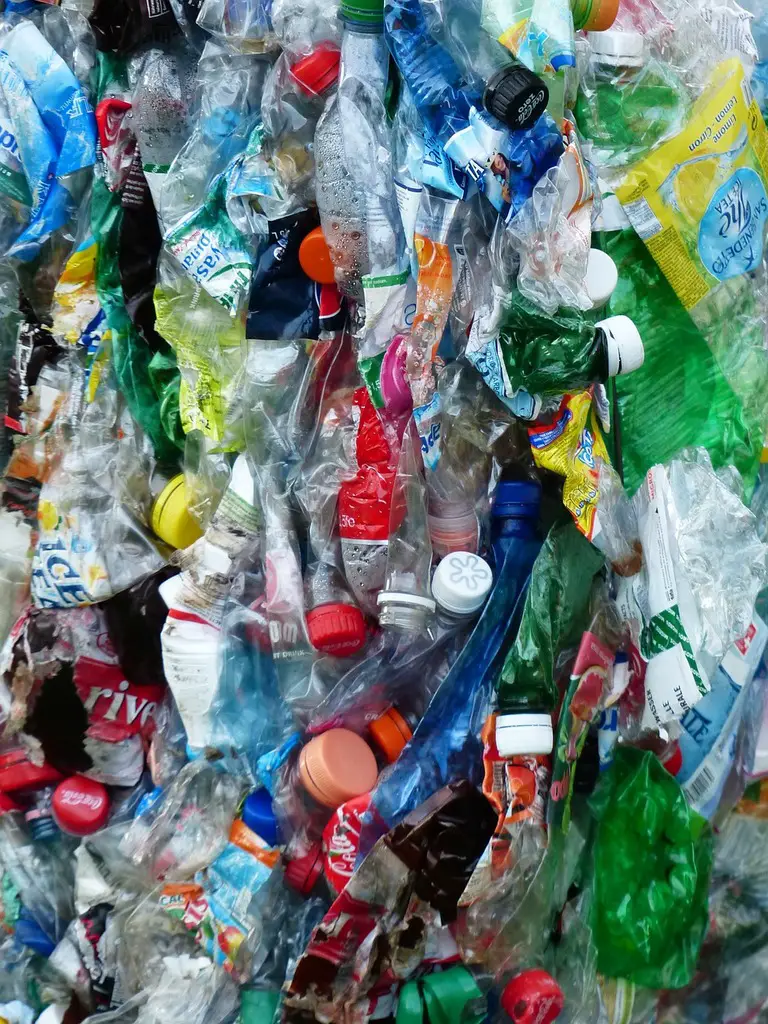 Bottiglie d’acqua in plastica: una minaccia invisibile (ma reale) secondo la scienza %bottiglie d’acqua in plastica: una minaccia invisibile (ma reale) secondo la scienzacount(title)% Bottiglie d’acqua in plastica: una minaccia invisibile (ma reale) secondo la scienza
