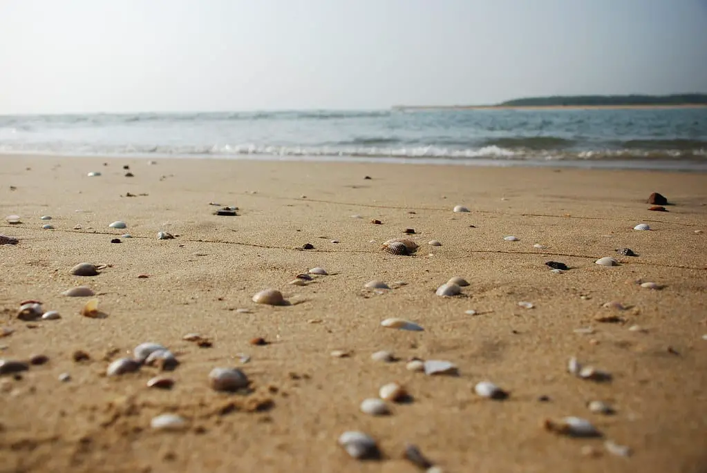 Le spiagge del mondo stanno sparendo: urbanizzazione e cambiamento climatico accelerano l’erosione costiera