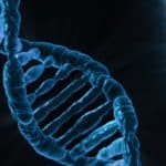 Microgravità e dna umano: cosa succede alle cellule dopo 24 ore? %microgravità e dna umano: cosa succede alle cellule dopo 24 ore? Count(title)% Microgravità e dna umano: cosa succede alle cellule dopo 24 ore?