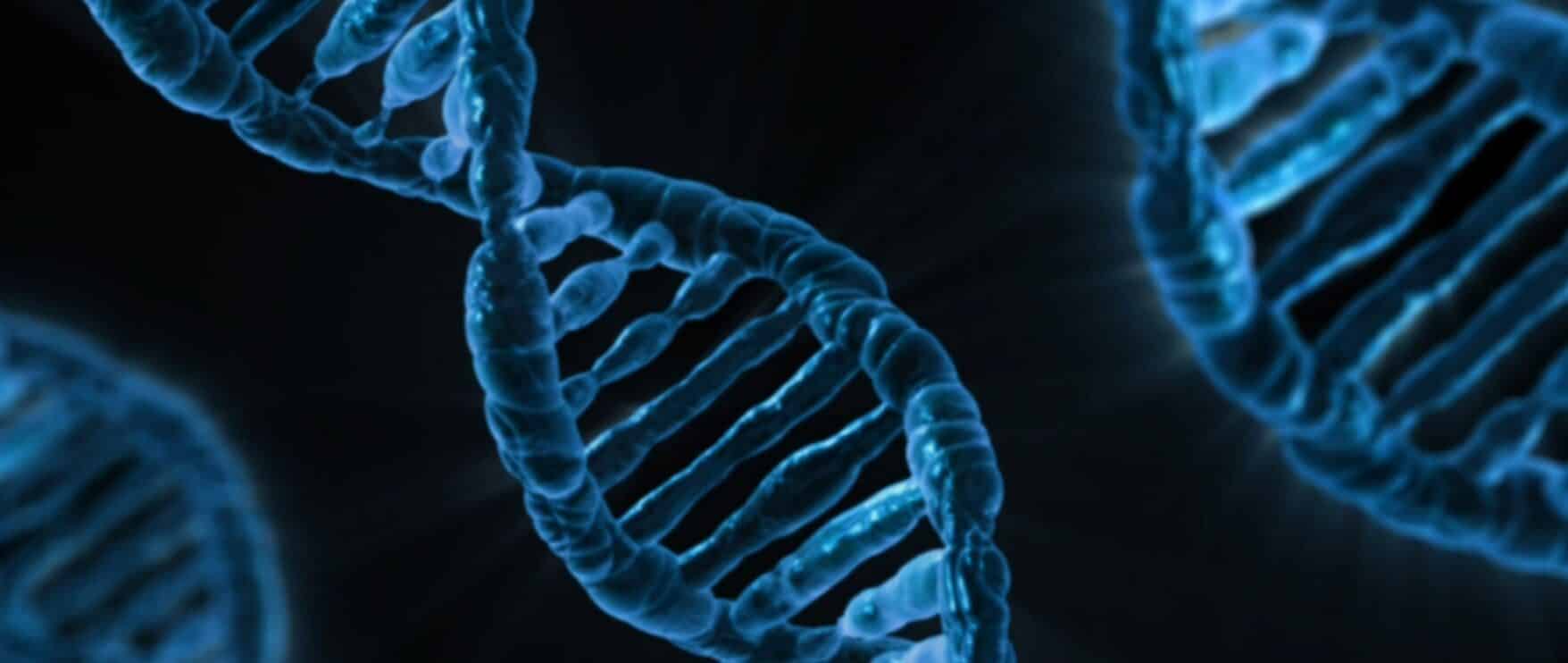 Cenp-a: com'è fatto il nucleosoma del centromero nelle cellule umane? %cenp-a: com'è fatto il nucleosoma del centromero nelle cellule umane? Count(title)% Struttura del dna e organizzazione della cromatina