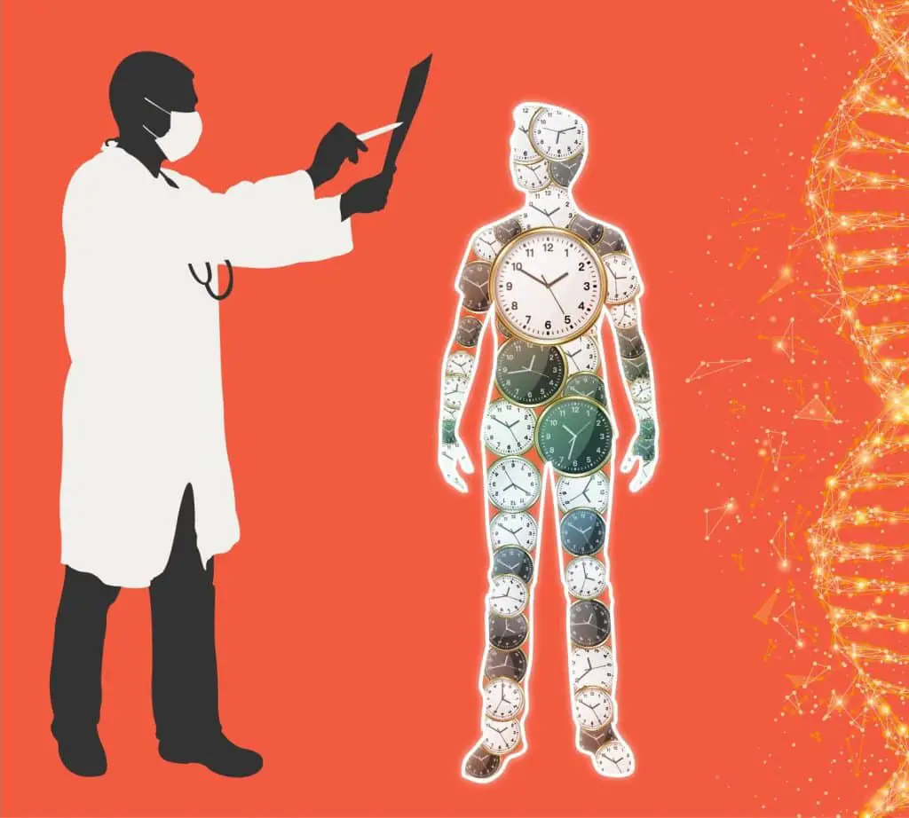 Longevità, ambiente e cervello: la nuova frontiera arriva… dai vermi