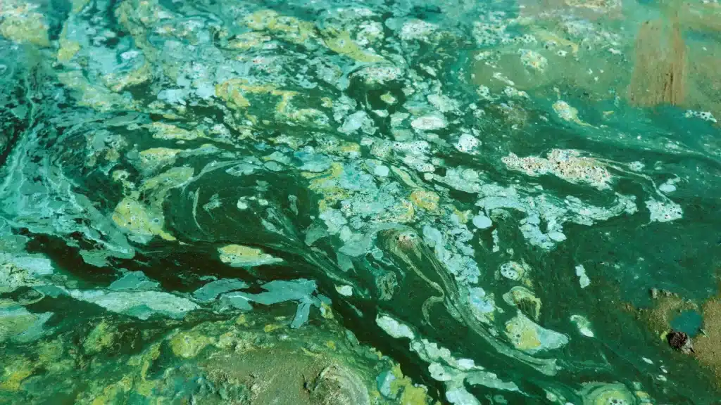 Perché l’ossigeno è arrivato così tardi sulla terra? La risposta potrebbe essere… il nichel e l’urea