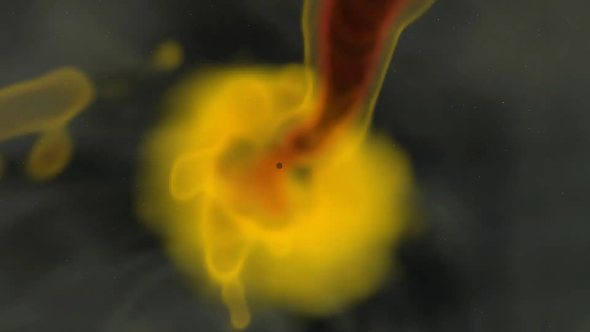 Campi magnetici