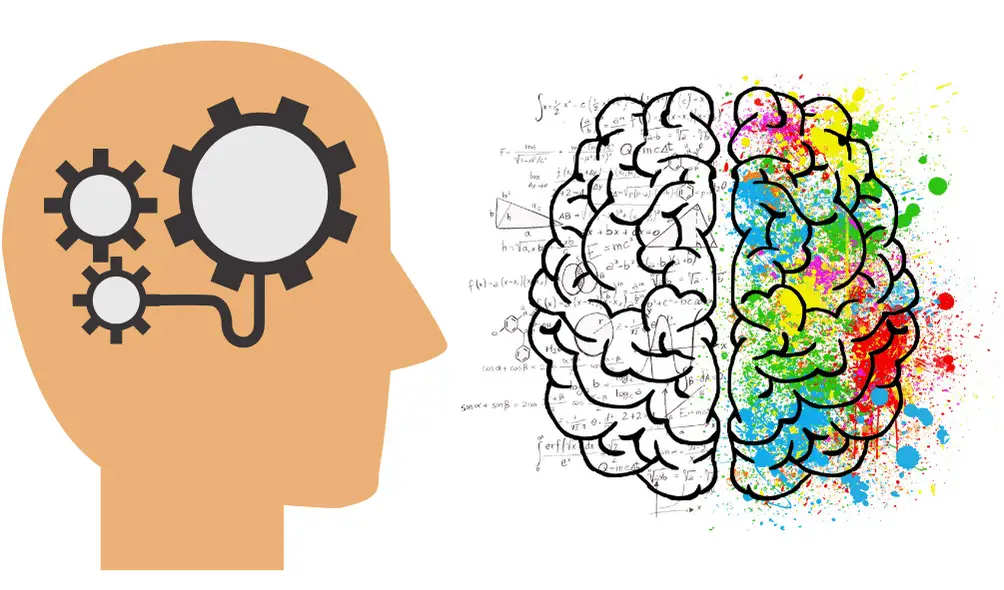 Scienziati sviluppano un test del sangue altamente accurato per diagnosticare la sindrome da fatica cronica (me/cfs) %scienziati sviluppano un test del sangue altamente accurato per diagnosticare la sindrome da fatica cronica (me/cfs)count(title)% Scienziati sviluppano un test del sangue altamente accurato per diagnosticare la sindrome da fatica cronica (me/cfs)