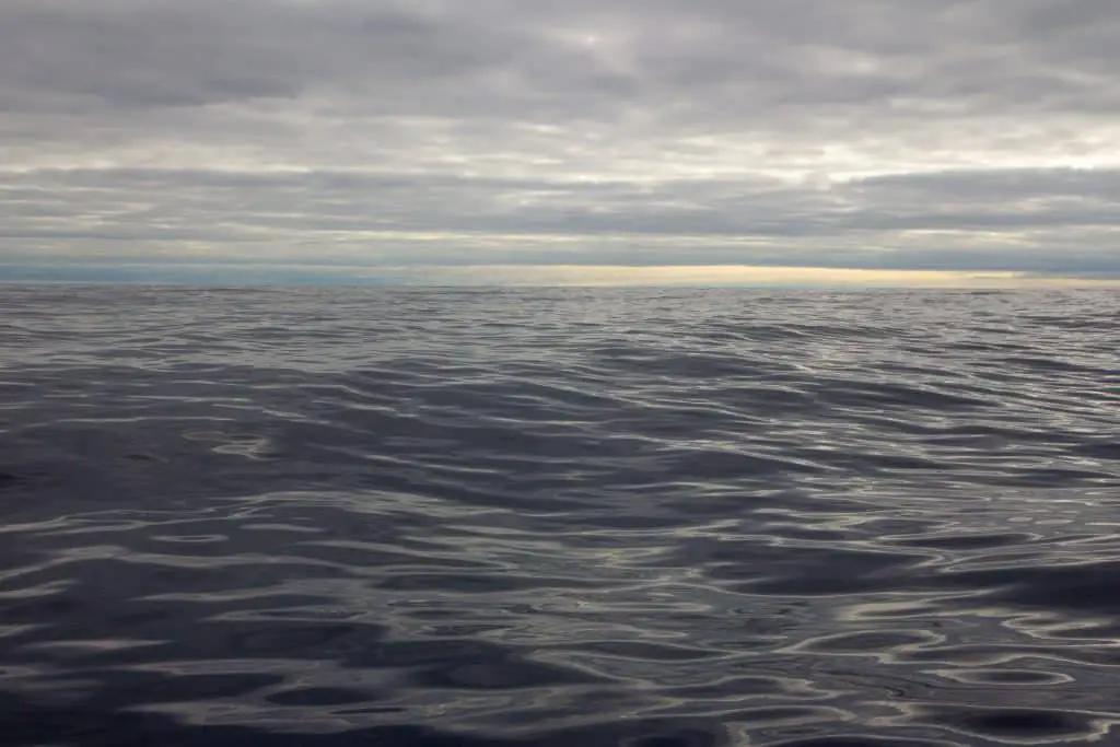 Un secolo di dati rivela un raffreddamento anomalo vicino alla groenlandia: la causa è il rallentamento dell’amoc