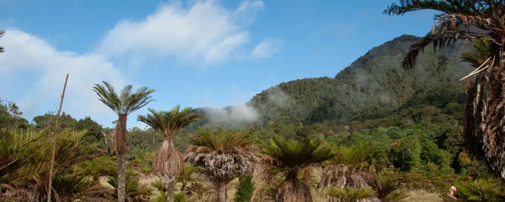 Scoperto un campo idrotermale mai visto prima al largo della papua nuova guinea