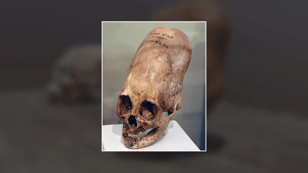 Il caso paracas spiegato senza fantasie: cosa rivelano davvero i teschi allungati %il caso paracas spiegato senza fantasie: cosa rivelano davvero i teschi allungaticount(title)% Paracas