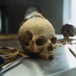 Il caso paracas spiegato senza fantasie: cosa rivelano davvero i teschi allungati %il caso paracas spiegato senza fantasie: cosa rivelano davvero i teschi allungaticount(title)% Il caso paracas spiegato senza fantasie: cosa rivelano davvero i teschi allungati