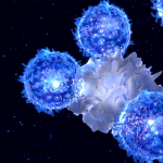 Due geni possono creare una sola proteina? Cosa sono gli mrna chimerici %due geni possono creare una sola proteina? Cosa sono gli mrna chimericicount(title)% Due geni possono creare una sola proteina? Cosa sono gli mrna chimerici