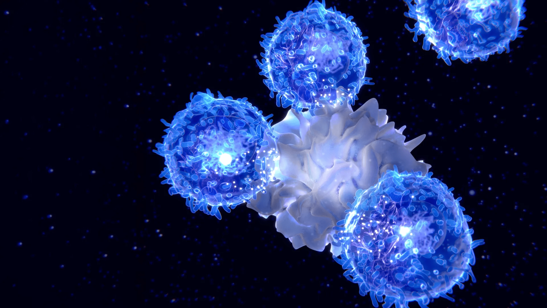 Il mit studia un modo per “ringiovanire” il sistema immunitario usando l’mrna %il mit studia un modo per “ringiovanire” il sistema immunitario usando l’mrnacount(title)% Mrna