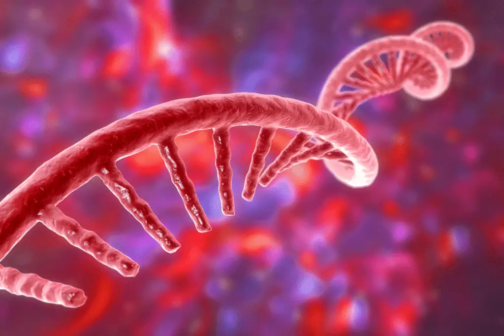 Il mit studia un modo per “ringiovanire” il sistema immunitario usando l’mrna