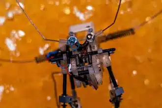 I robot insetto saltano e si ricaricano da soli: perché questa ricerca italiana cambia la robotica