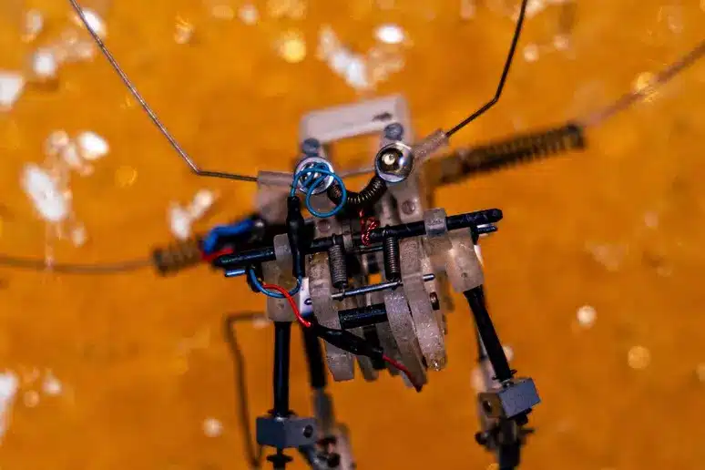 I robot insetto saltano e si ricaricano da soli: perché questa ricerca italiana cambia la robotica %i robot insetto saltano e si ricaricano da soli: perché questa ricerca italiana cambia la roboticacount(title)% Robot