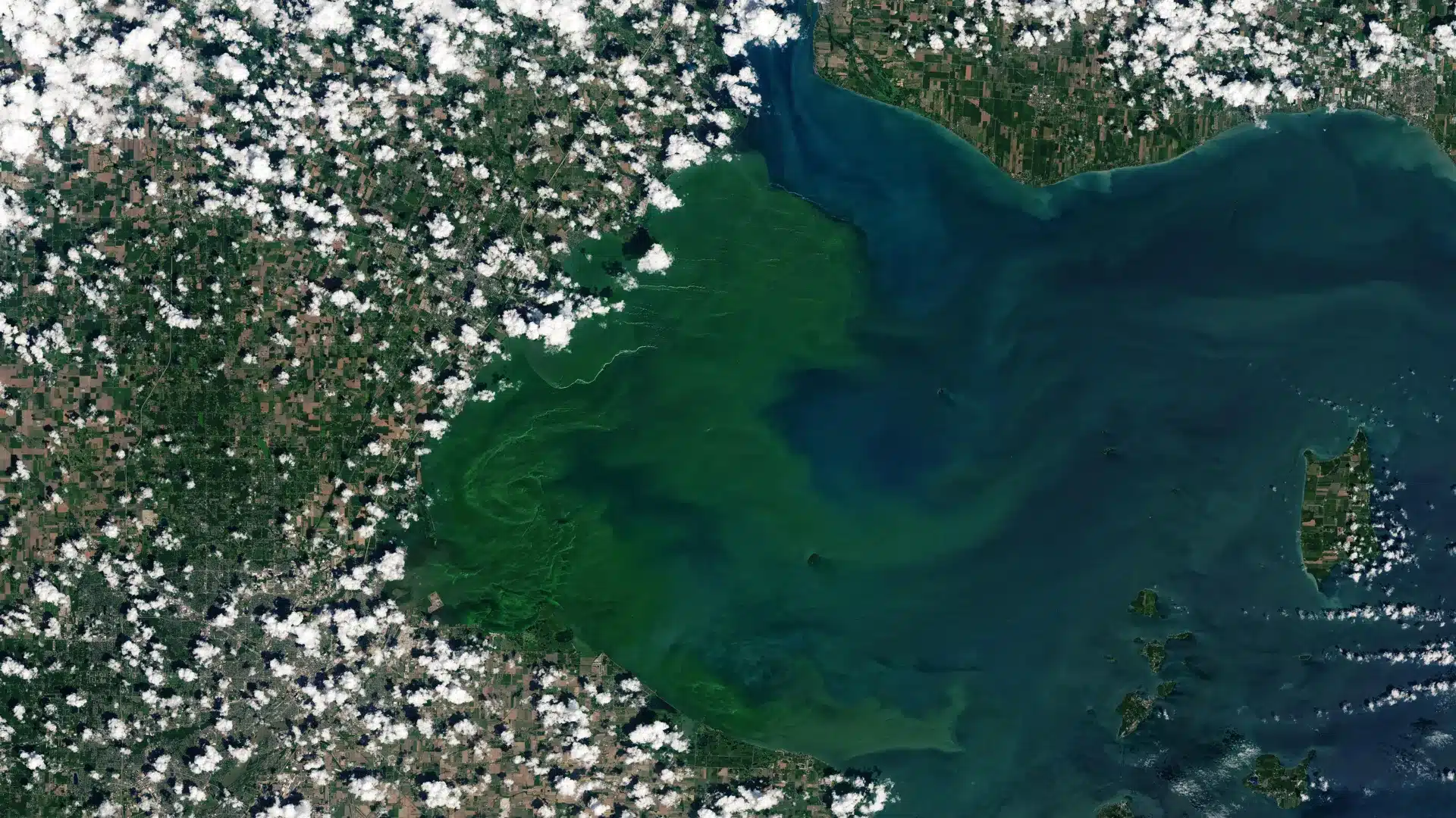 Lago erie